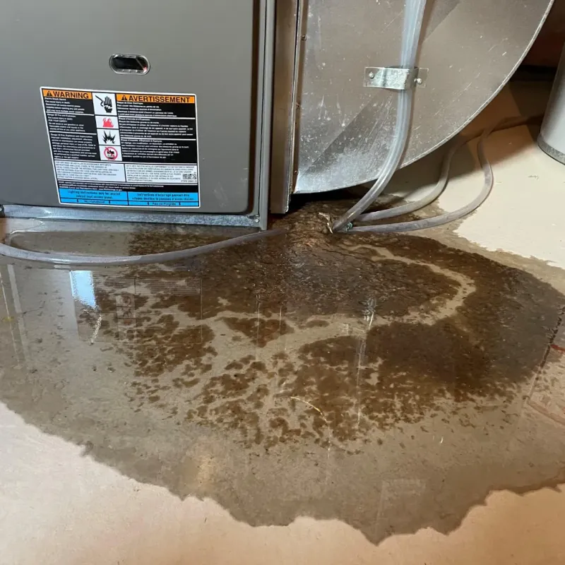 Appliance Leak Cleanup in Hacienda Heights, CA